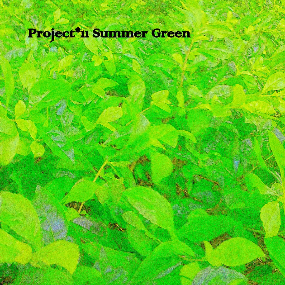 Project 11 SUMMER GREEn artwork