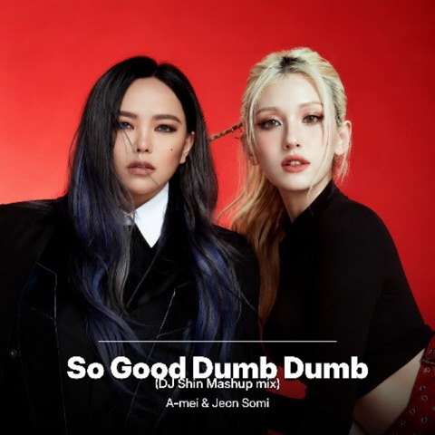 So Good Dumb Dumb (DJ SHin Mashup mix) artwork